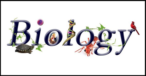 Biology 2nd part (sub code:178)