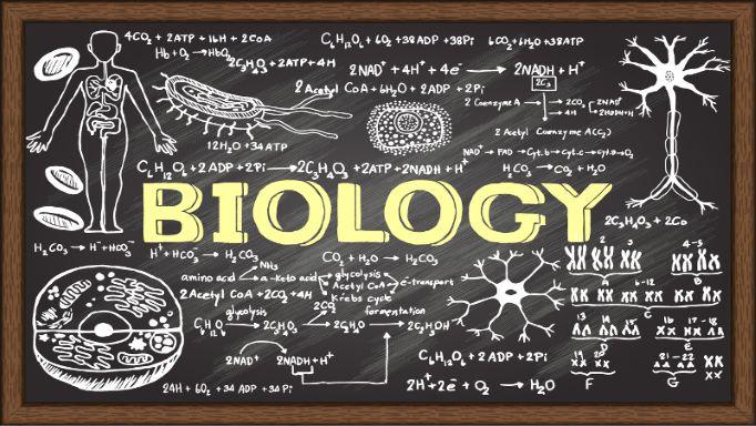 Biology 1st part (Sub Code:177)